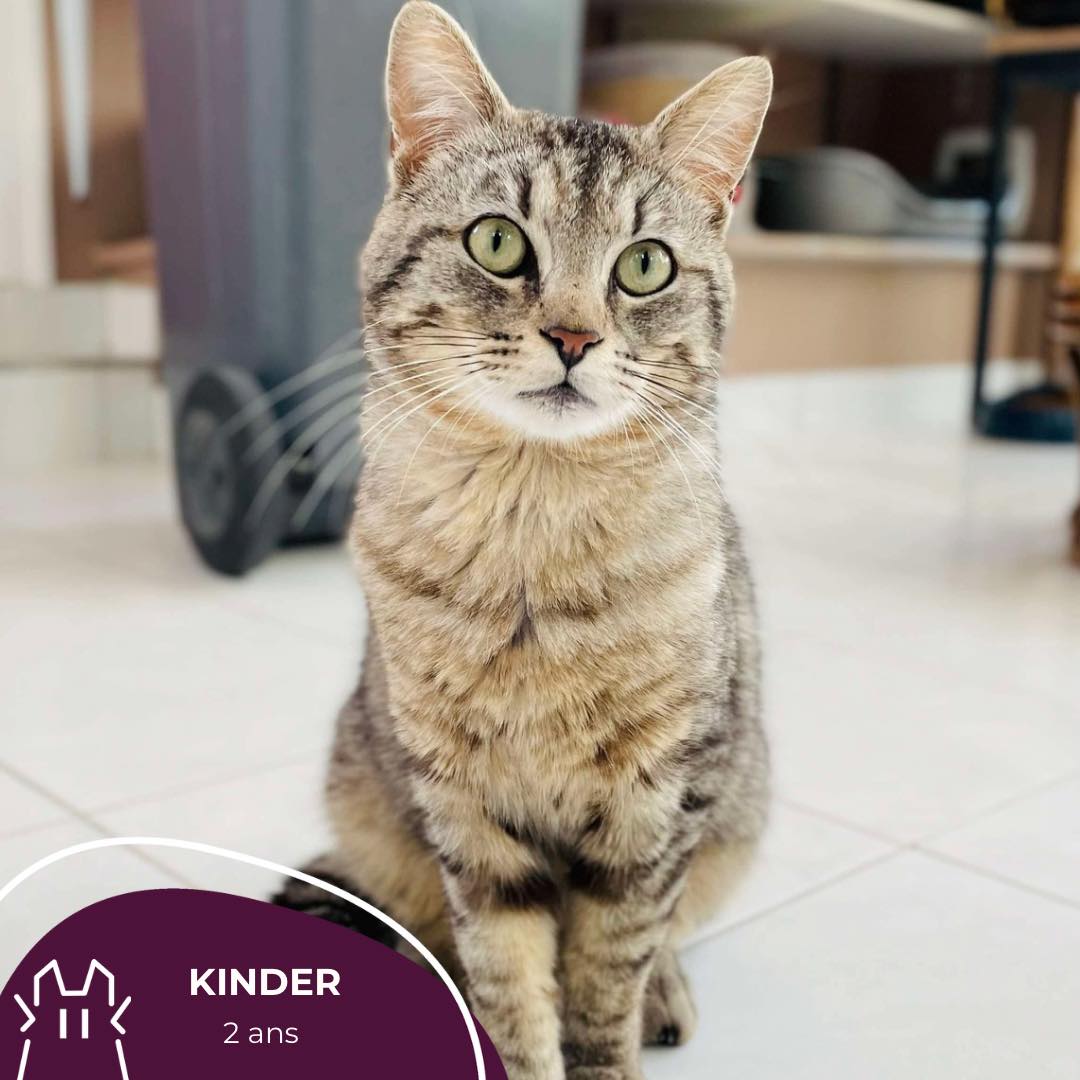 KINDER: mâle – 2 ans .