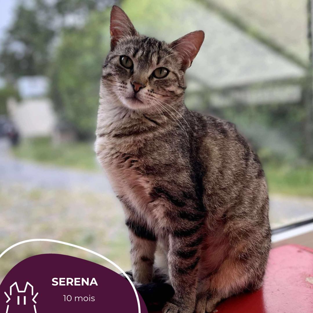SERENA :- 10 mois.